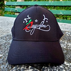 N.Y. ORIGIN8ORS Flagship name black flexfit hat